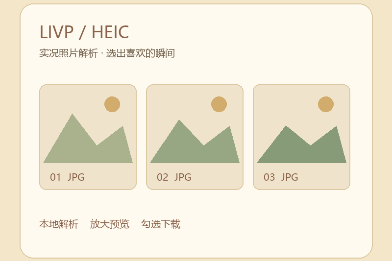 LIVP文件解析在线工具：预览与图片提取